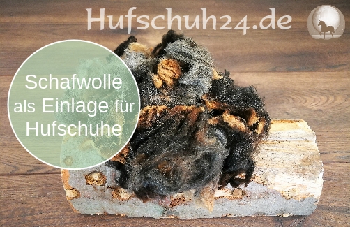  Hufschuh24 ▷ Schafwolle für Hufschuhe